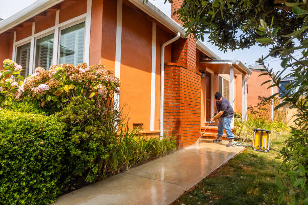 Best Roof Power Washing Services  in Rosedale, MD